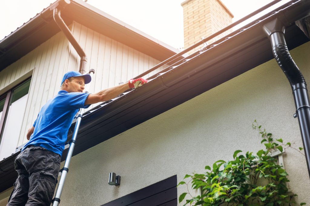 Roof Cleaning 